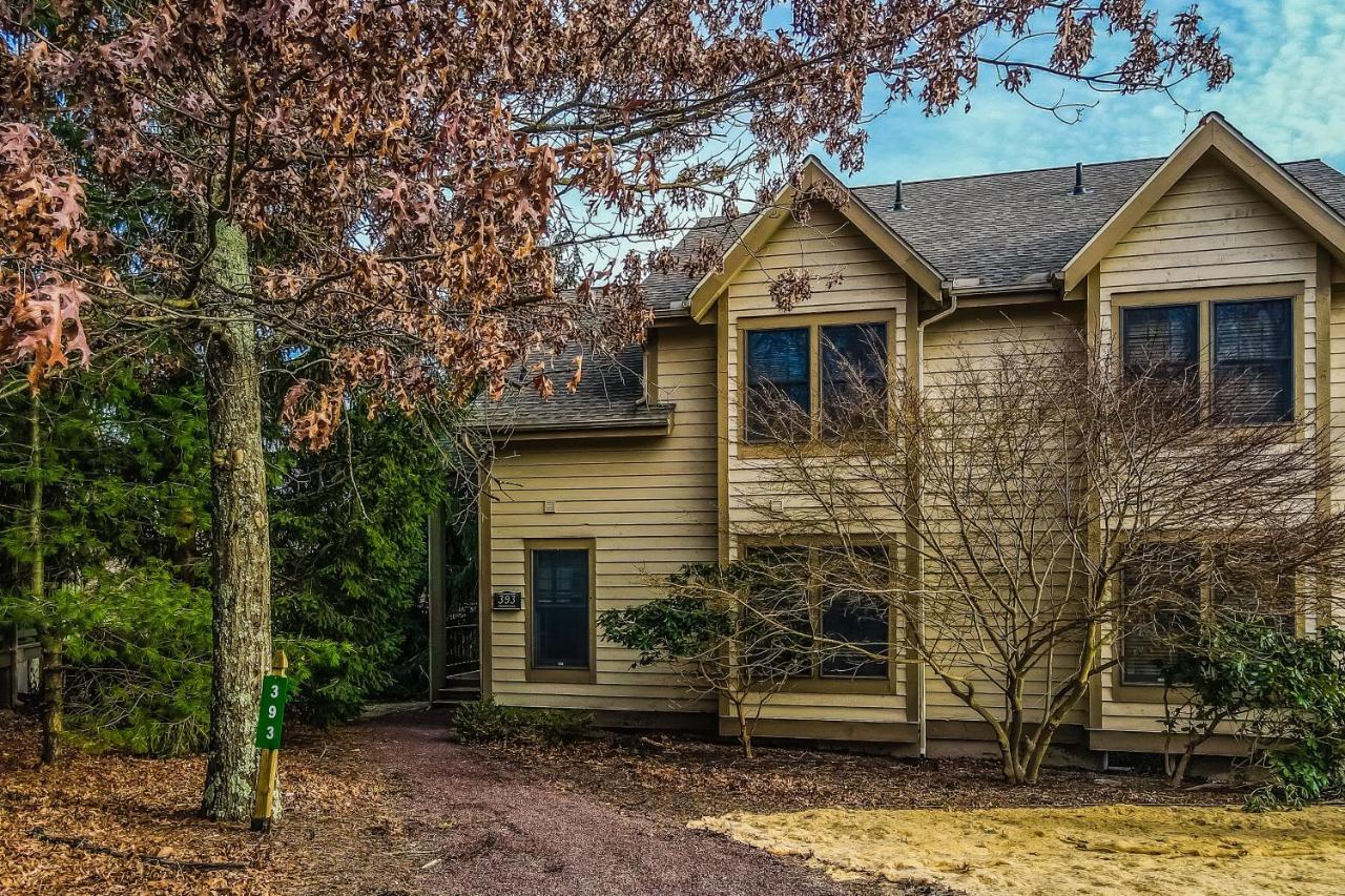 Northridge 393 Villa Tannersville Bagian luar foto
